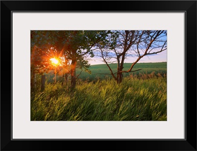 Sunrise On A Farm During The Summer In Central Alberta, Canada