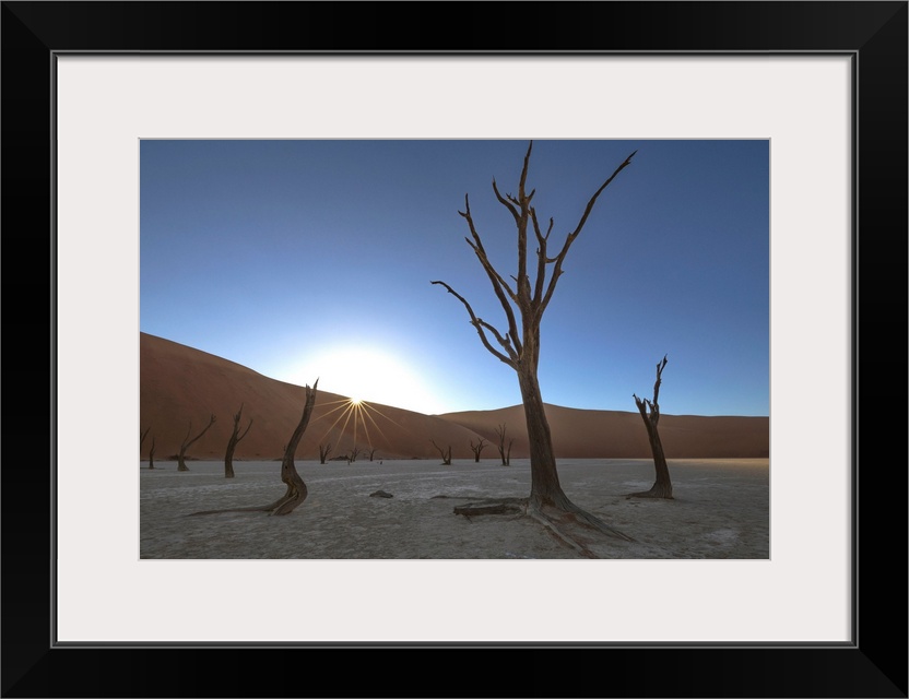 Sunrise over the Deadvlei, deep within Sossusvlei, Namibia.