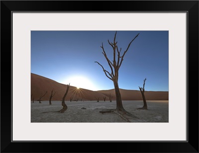 Sunrise over the Deadvlei, deep within Sossusvlei, Namibia