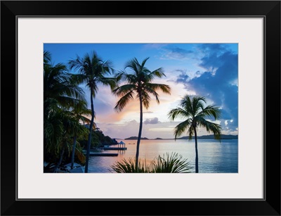 Sunset And Palm Trees On The Caribbean Island Of Saint Thomas, Virgin Islands