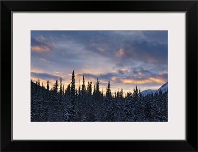 Sunset Colors The Sky After A Cold Winter Day, Whitehorse, Yukon, Canada