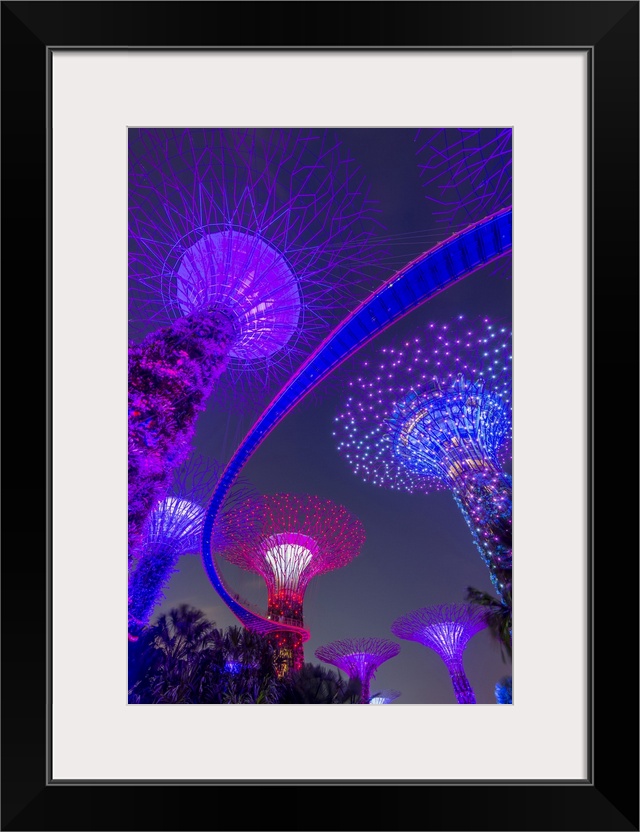 Supertrees of Gardens by the Bay with illuminated sweeping high level walkway.