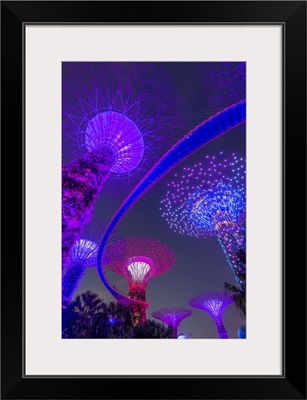 Supertrees Of Gardens By The Bay With Illuminated Sweeping High Level Walkway