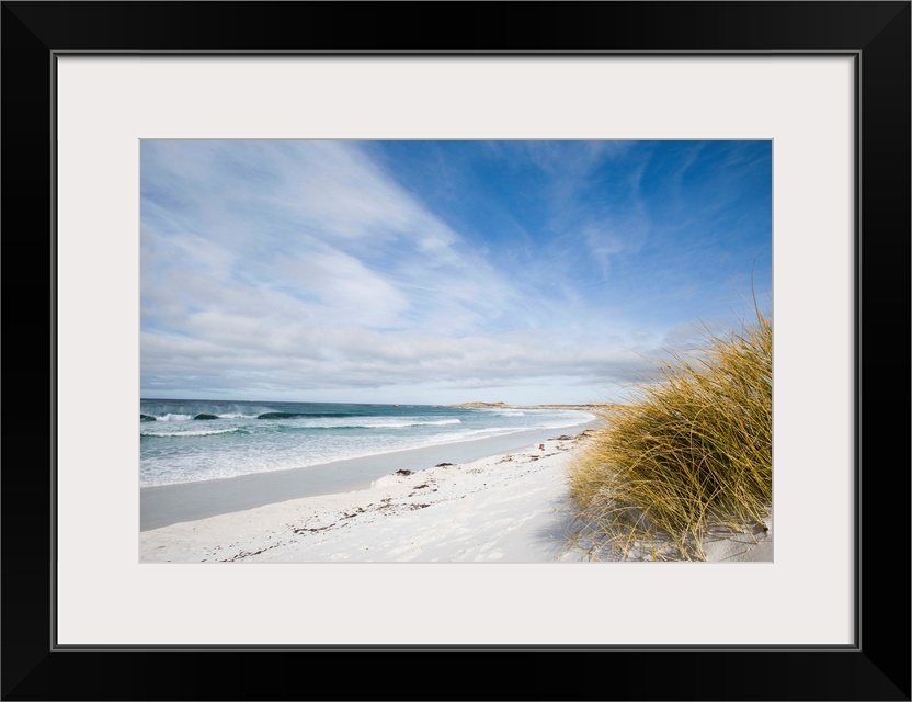 Surf Bay Close To Port Stanley, Islaes Malvines