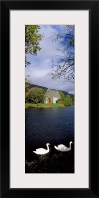 Swans near Chapel At Gougane Barra, County Cork, Ireland