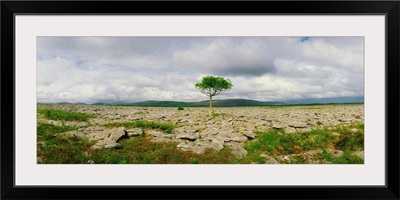 The Burren, Co. Clare, Ireland, Karst-Landscape Region Near Kinvara