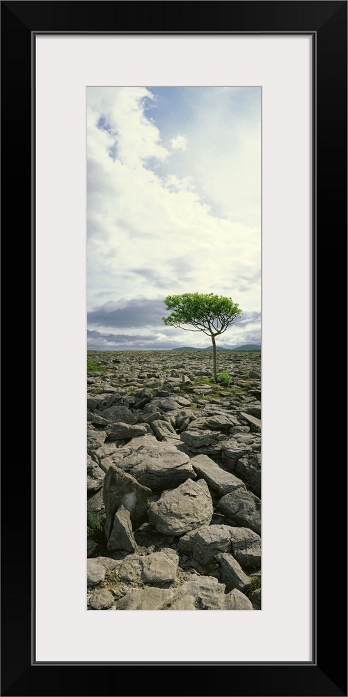 The Burren, On Kinvara Side, County Clare, Ireland