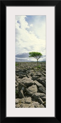 The Burren, On Kinvara Side, County Clare, Ireland