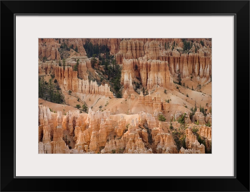 The Needles Of Bryce Canyon, Utah