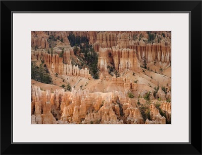 The Needles Of Bryce Canyon, Utah