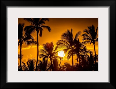 The Sun Setting Through Silhouetted Palm Trees, Wailea, Maui, Hawaii, USA