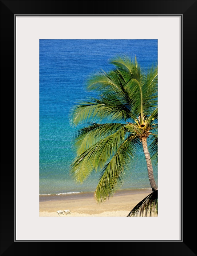 Tropical Beach With Palm Tree and Beach Chairs