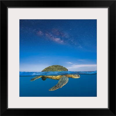 Turtle Island Is A Creation Story Is Used By Some Indigenous Peoples, Hawaii