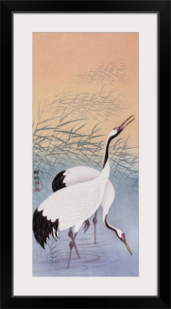 Two Cranes, a colour woodcut by Japanese artist Ohara Koson, 1877 - 1945.