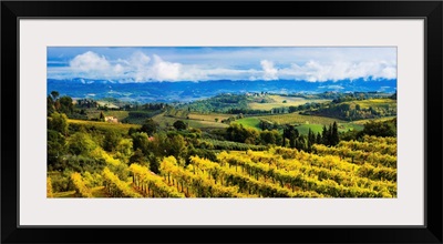 Vineyard, San Gimignano, Tuscany, Italy