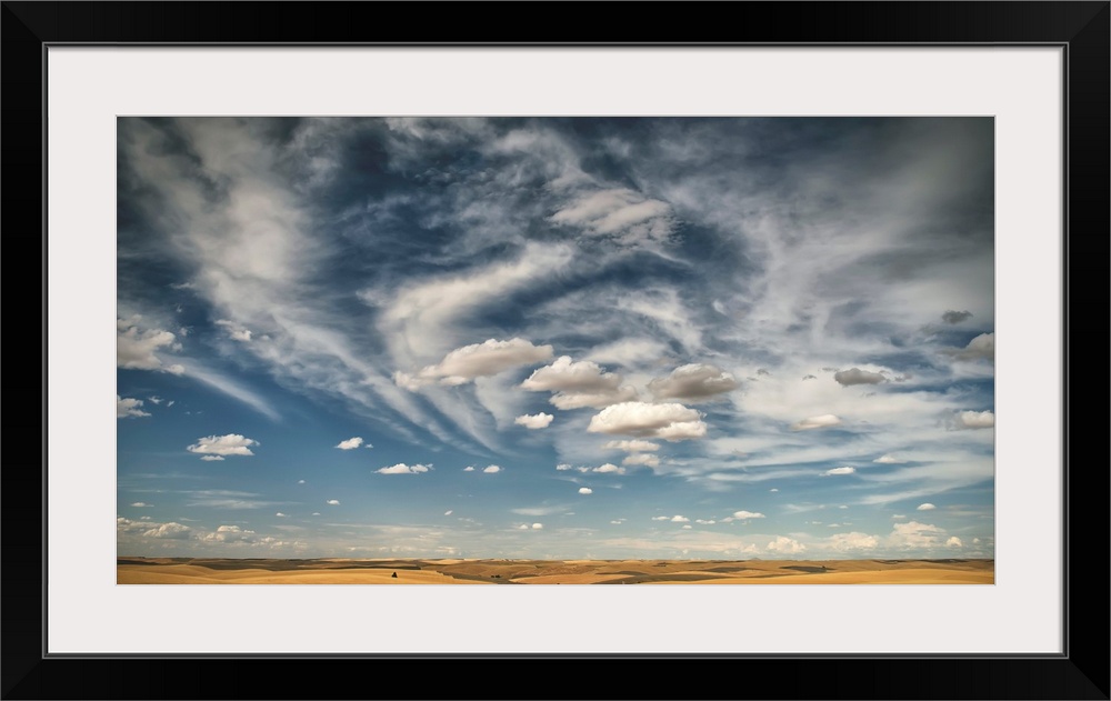 Wheat field under a blue sky with cloud, Palouse, Washington, United States of America.