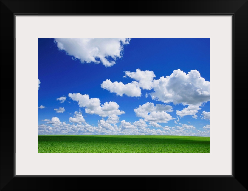 White Clouds In The Sky And Green Meadow