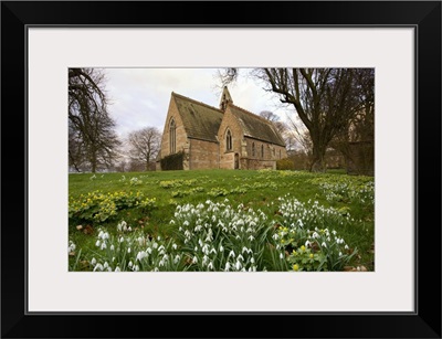White Flowers With A Small Church In Background, Northumberland, England