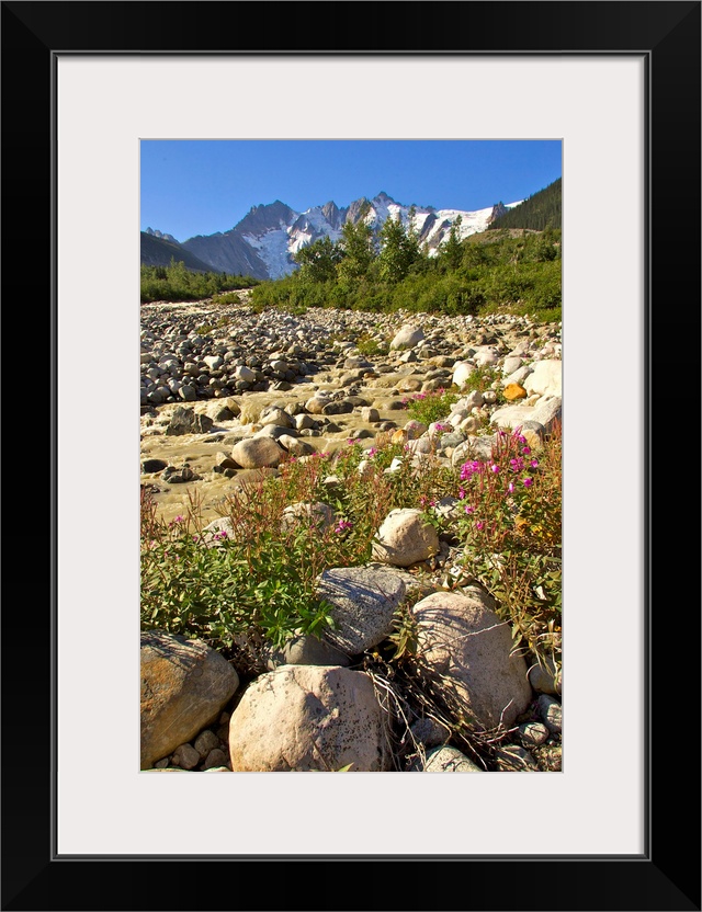 Scenic view along the White Pass Trail Heli-Hike hiking tour in the Tongass National Forest near Skagway, Alaska