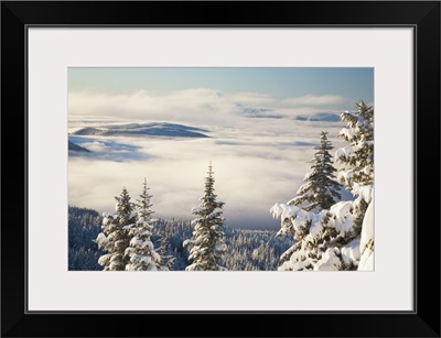 Winter Landscape With Clouds And Snow-Covered Trees; Oregon