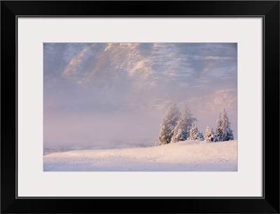 Winter View Of Snow-Covered Spruce Trees In Fog, Turnagain Pass, Kenai Peninsula, Alaska