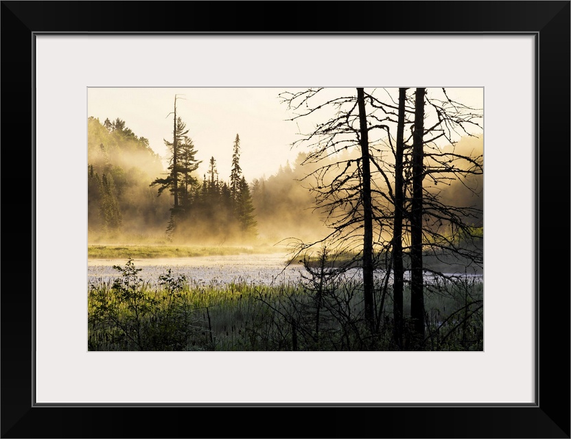 Big photo on canvas of a forest landscape covered in fog and bathed in various places with warm sunlight.