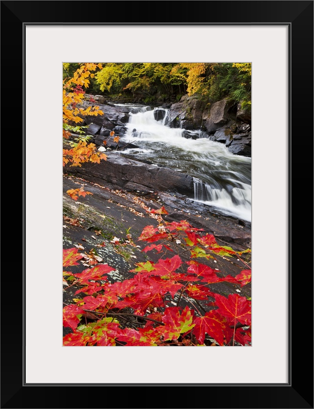 Tall canvas photo of water rushing down a rocky river surrounded by fall foliage.