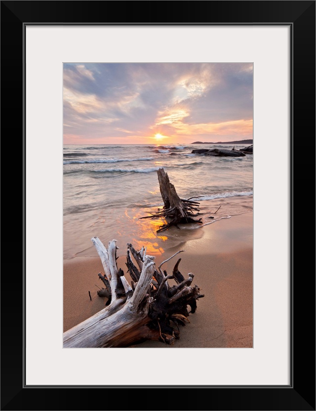 Pastel scene of two large pieces of sea bleached driftwood, lining up with the setting sun as shallow waves form in the oc...