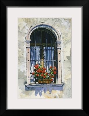 Arched Window with Geraniums - Vincenza
