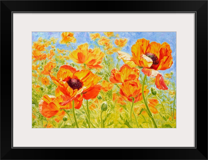 Spanish Dancers - Poppies