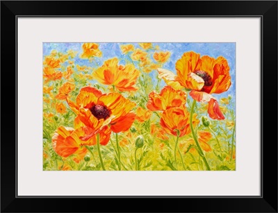 Spanish Dancers - Poppies