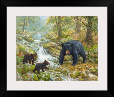 Summer's Picnic - Black Bear Family