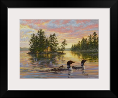 Tranquil Evening - Loons