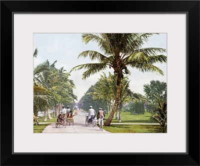 Bicycle Avenue Palm Beach Florida Vintage Photograph