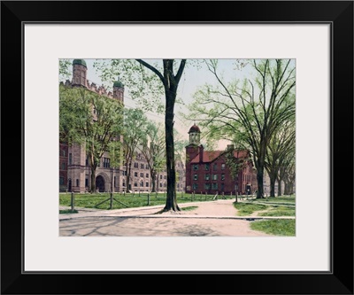 Phelps Hall and Lyceum Yale College Connecticut Vintage Photograph