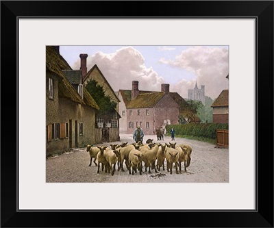 Sheep in the Village Street