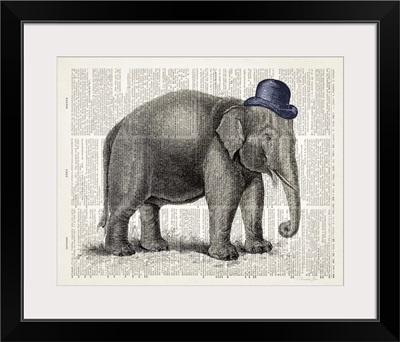 Elephant In A Bowler