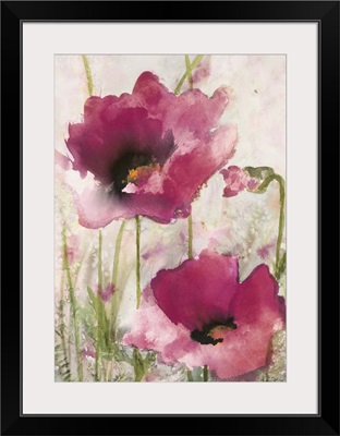 Field Poppies Pink