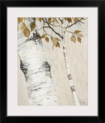 Rustic Birch