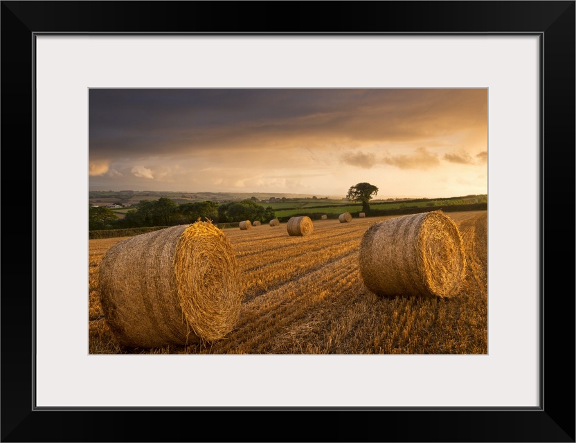 Bales of hay in a field with a cloudy sky above.