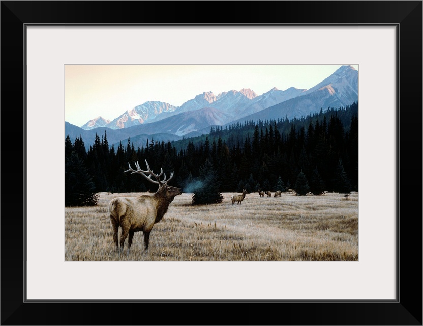 A group of elk in an autumn meadow.