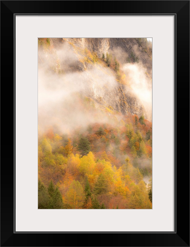 Landscape photograph of colorful Autumn trees under foggy mountain rock cliffs.