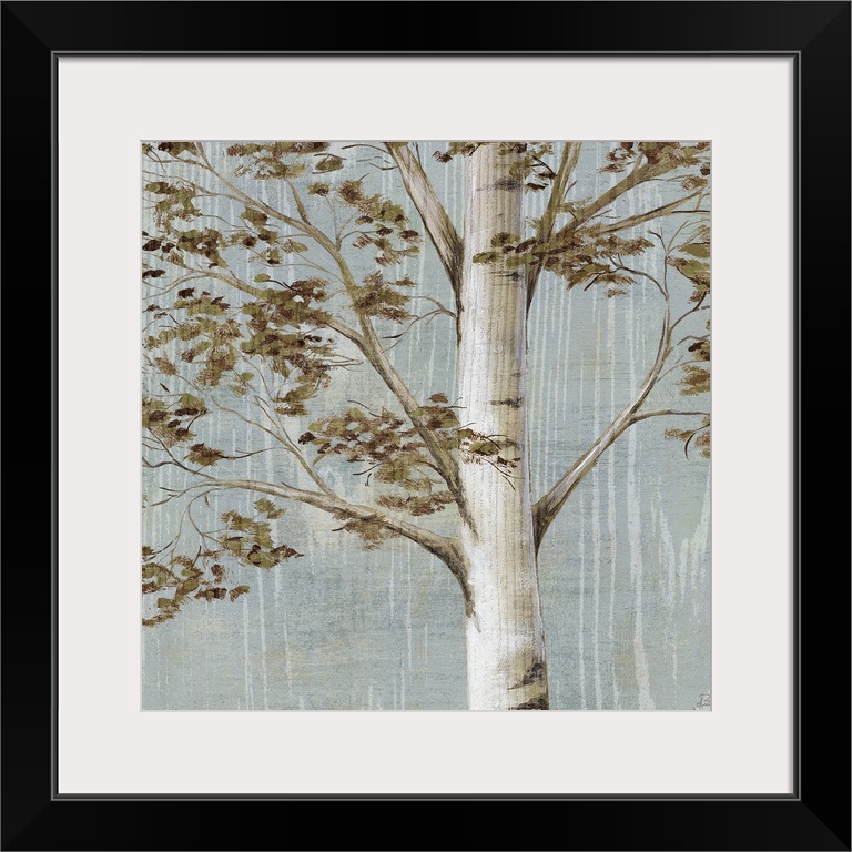 birch trees on aqua wood grain