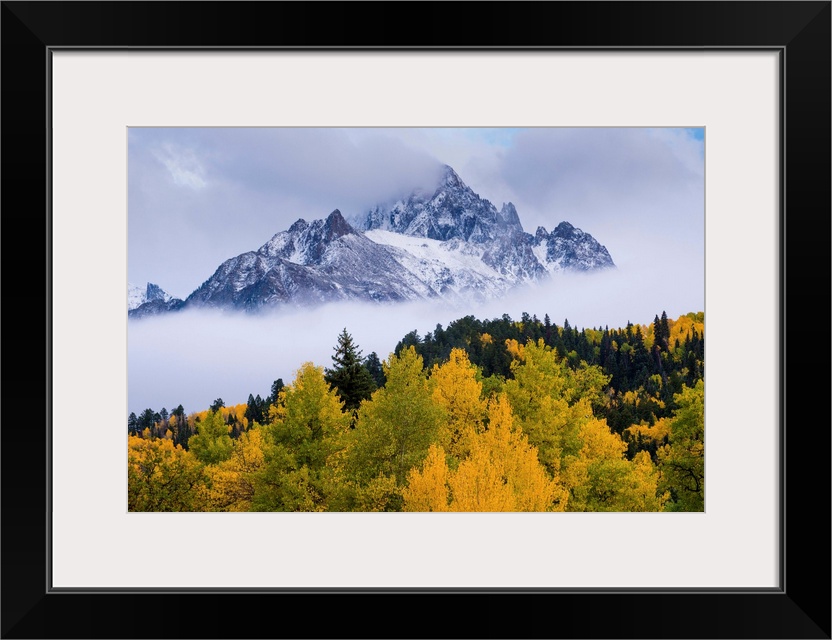 mountains, trees, mist, color photograph