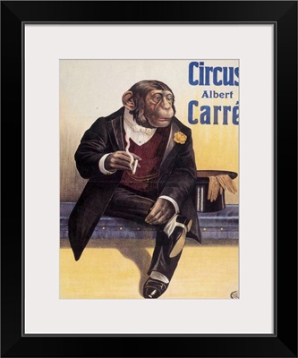 Carre Circus Chimp