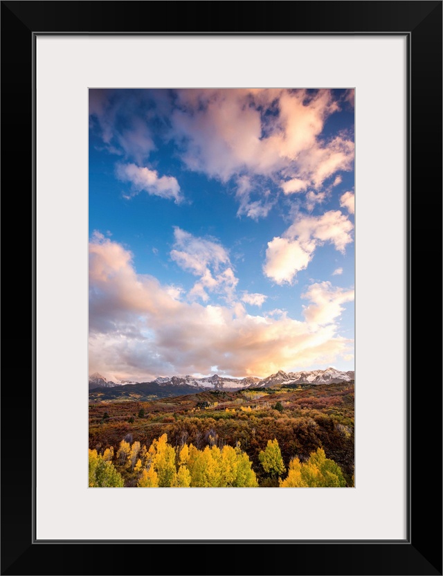 Landscape photograph of Autumn trees leading back to snow covered mountain tops in the distance with fluffy clouds above.