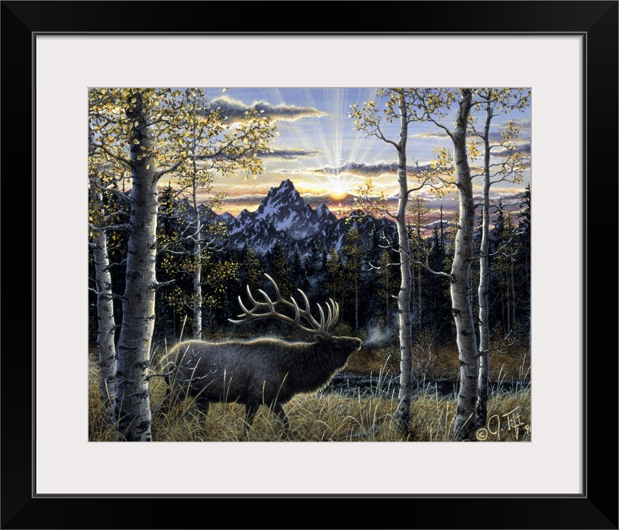 an elk standing in the birches mountain in background
