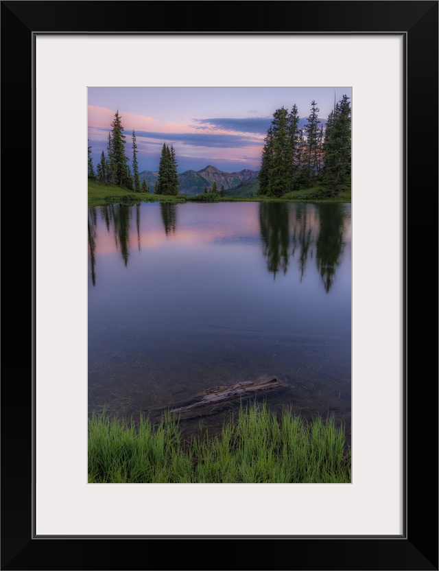 A photograph of a grove of trees seen reflected in the lake below with a mountain peak in the distance.