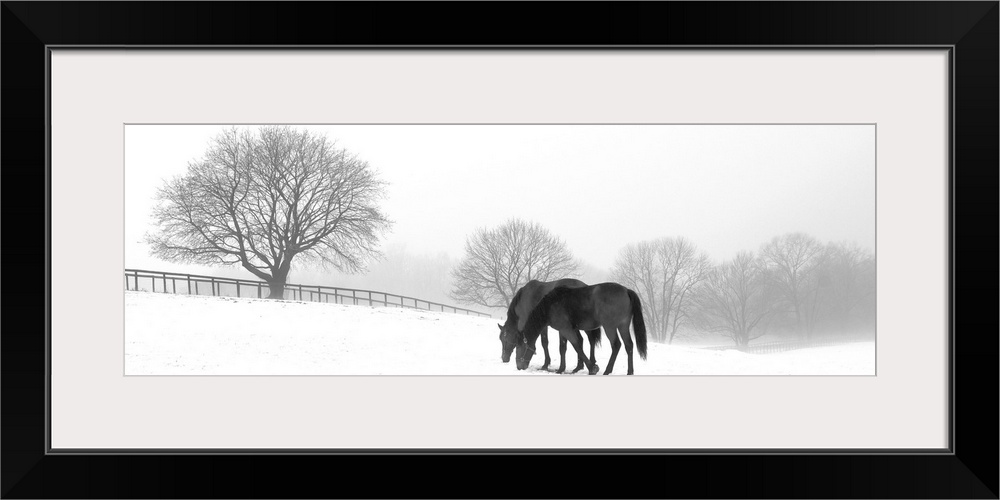 Grazing Pair