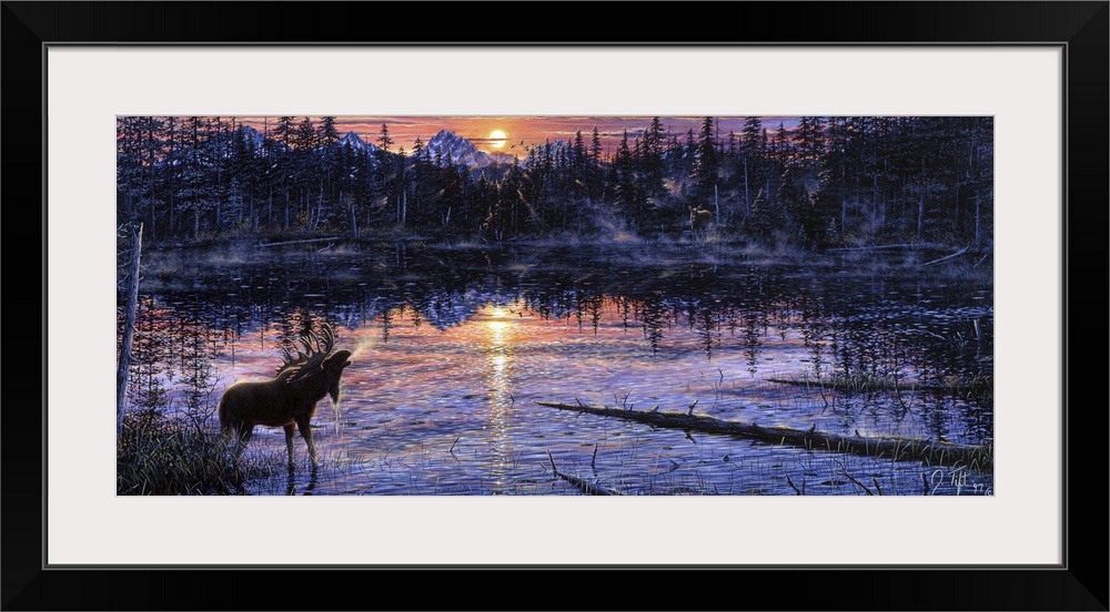 A BULL MOOSE STANDING IN A SWAMP WITH SUN COMING UP IN THE BACKGROUND